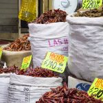 Alimenti ricchi di nutrienti per una dieta equilibrata