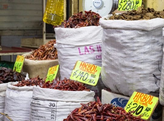 Bags of dried chilies for sale at a market in Mexico City, showcasing a colorful variety.